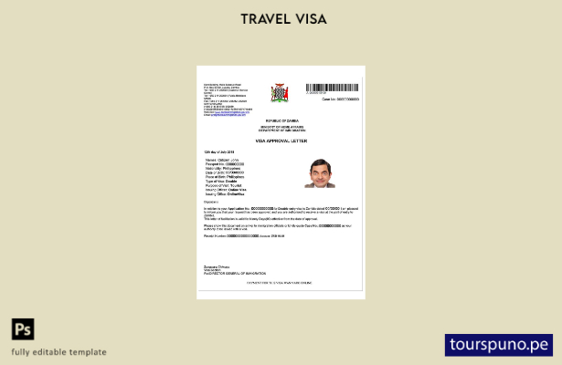 Plantilla de visa electrónica para Zambia lista para imprimir