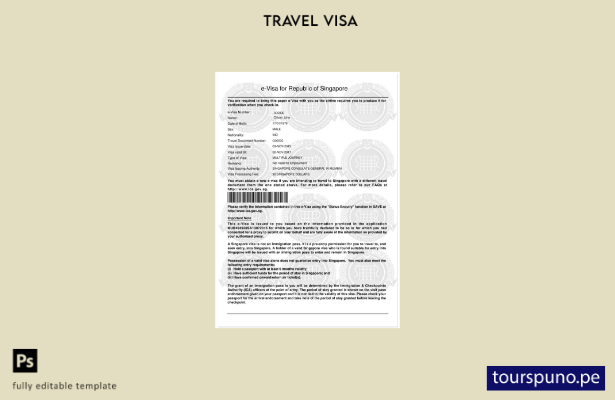 lista para imprimir plantilla de visa electrónica para Singapur