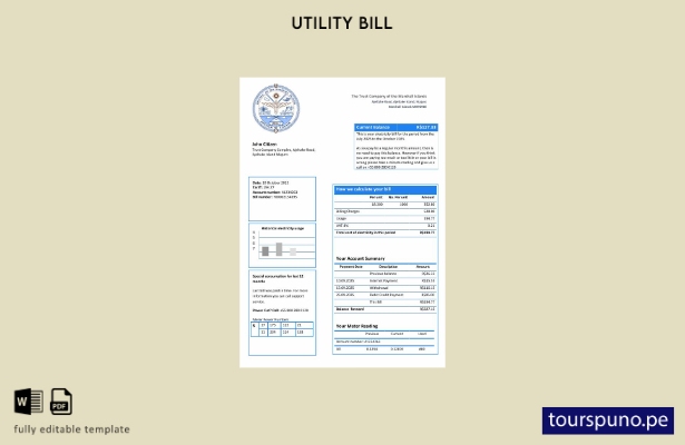 Plantilla de factura de servicios públicos de electricidad de las Islas Marshall