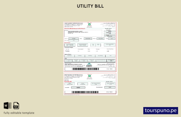 lista para imprimir la plantilla de factura de servicios públicos de electrici 4