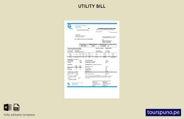 lista para imprimir plantilla de factura de servicios públicos de electricida 16