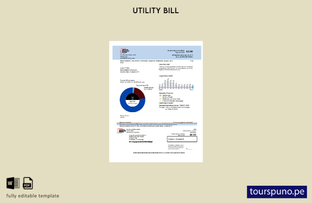 lista para imprimir plantilla de factura de servicios públicos de electricida 17