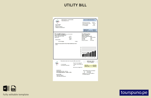 lista para imprimir plantilla de factura de servicios públicos de electricidad P