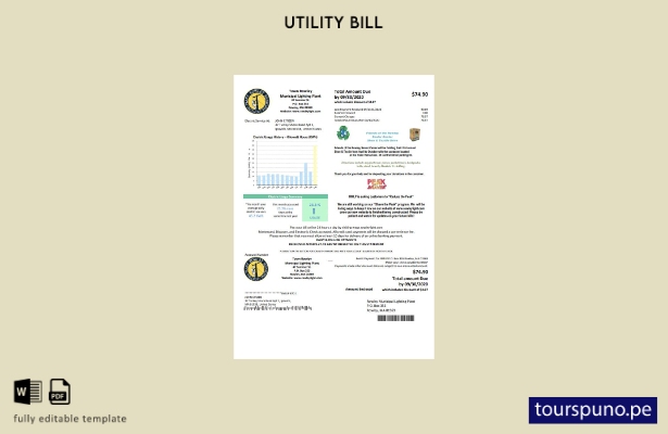 listo para imprimir Plantilla de factura de servicios públicos de electricida 15