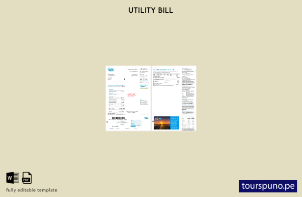 listo para imprimir Versión de factura de servicios públicos de Ireland Electric