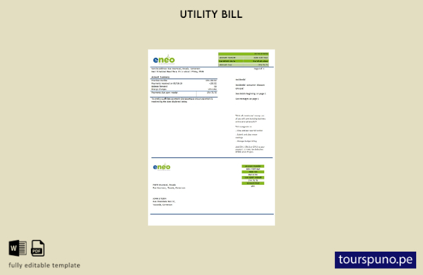 listo para imprimir plantilla de Word   factura de servicios públicos de elec 15