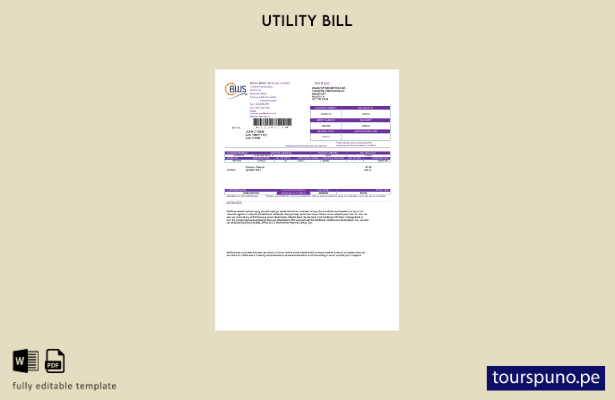 listo para imprimir plantilla de word   factura de servicios públicos de Belize