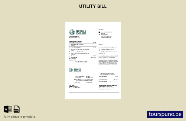 listo para imprimir plantilla de word   factura de servicios públicos de elec 16